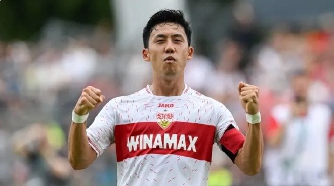 的培养中 的培养中